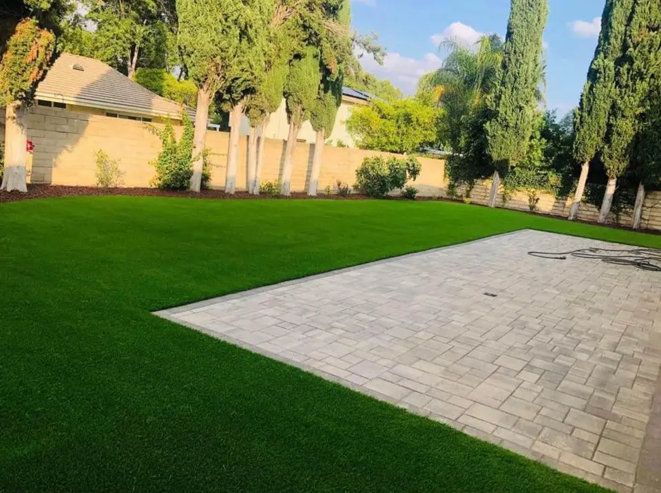 A well-maintained backyard featuring a lush green lawn and a large paved patio area with high-quality pavers. Tall, slender trees and a stone wall border this inviting outdoor space, with a hose coiled on the patio under a clear blue sky.